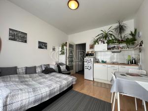 Prodej bytu 1+kk, Praha - Košíře, Holečkova, 25 m2