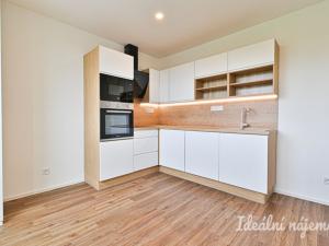 Pronájem bytu 2+1, Brno, Horácké náměstí, 66 m2