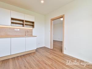Pronájem bytu 2+1, Brno, Horácké náměstí, 66 m2