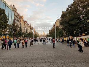 Pronájem bytu 2+kk, Praha - Nové Město, Senovážné náměstí, 88 m2