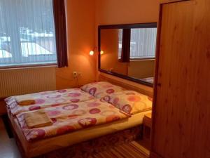 Prodej ubytování, Ostrov - Horní Žďár, 460 m2