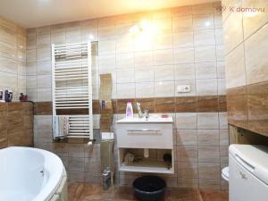 Prodej vícegeneračního domu, Dubenec, 250 m2