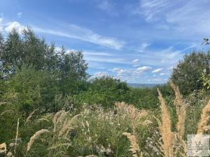 Prodej pozemku pro bydlení, Jenišov, V Oblouku, 1027 m2