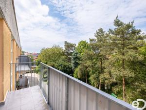 Prodej bytu 3+1, Černilov, 73 m2