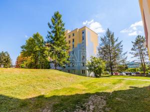 Prodej bytu 3+1, Český Krumlov - Domoradice, Urbinská, 67 m2