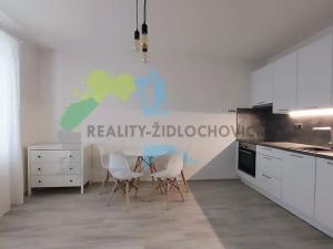 Pronájem bytu 1+kk, Židlochovice, Havlíčkova, 26 m2
