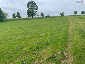 Prodej pole, Starý Jičín - Palačov, 33045 m2