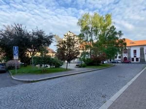 Prodej bytu 1+1, Česká Lípa, náměstí Osvobození, 49 m2