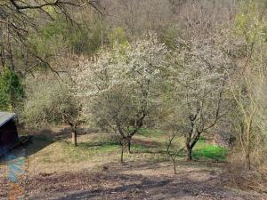 Prodej pozemku pro bydlení, Bílovice nad Svitavou, Soběšická, 1778 m2