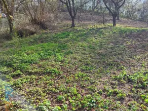 Prodej pozemku pro bydlení, Bílovice nad Svitavou, Soběšická, 1778 m2