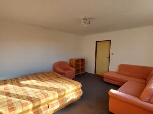 Prodej rodinného domu, Zruč-Senec - Senec, Plzeňská, 305 m2