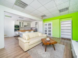 Prodej obchodního prostoru, Vladislav, 220 m2