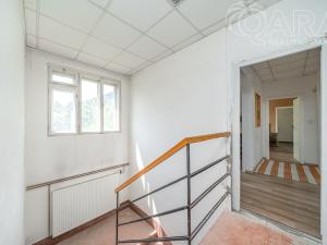 Prodej obchodního prostoru, Vladislav, 220 m2