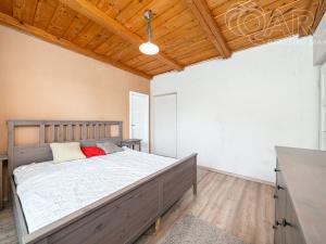 Prodej obchodního prostoru, Vladislav, 220 m2