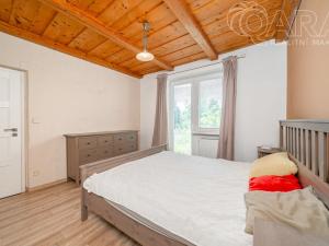 Prodej obchodního prostoru, Vladislav, 220 m2