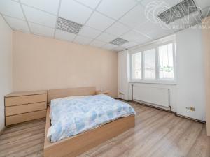 Prodej obchodního prostoru, Vladislav, 220 m2