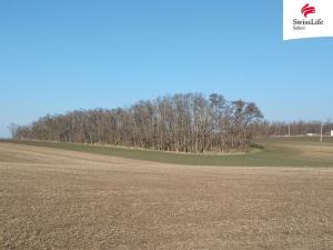 Prodej pozemku pro bydlení, Hrušovany nad Jevišovkou, 4538 m2