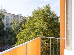 Pronájem bytu 2+1, Praha - Žižkov, Pod lipami, 53 m2