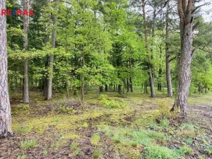 Prodej chalupy, Nezabudice, 230 m2