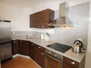 Pronájem bytu 1+kk, Praha - Vršovice, Krymská, 42 m2