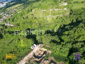 Prodej lesa, Zlín, Mařinková, 10191 m2
