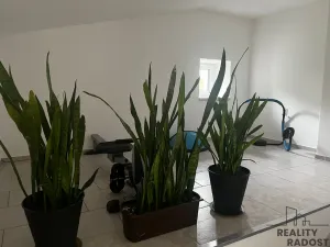 Pronájem rodinného domu, Dolní Domaslavice, 130 m2