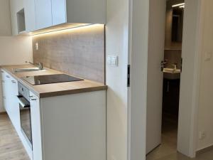 Pronájem bytu 1+kk, Brno - Trnitá, Křenová, 32 m2
