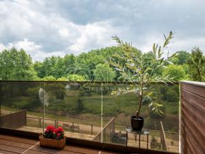Pronájem bytu 1+kk, Slaný, Lázeňská, 34 m2