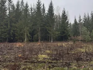Prodej pozemku, Veliny, 16991 m2