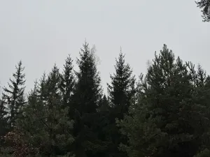 Prodej pozemku, Veliny, 16991 m2