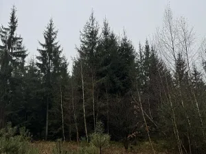 Prodej pozemku, Veliny, 16991 m2