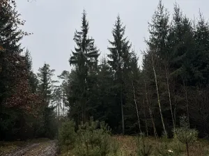 Prodej pozemku, Veliny, 16991 m2