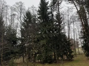 Prodej pozemku, Veliny, 16991 m2
