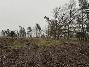 Prodej pozemku, Veliny, 16991 m2