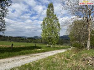 Prodej pozemku pro bydlení, Nová Pec, 3286 m2