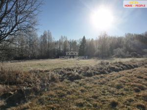 Prodej pozemku pro bydlení, Nová Pec, 3286 m2