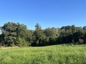 Prodej komerčního pozemku, Třinec - Konská, 2450 m2