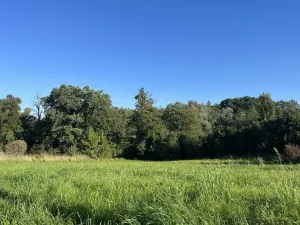 Prodej komerčního pozemku, Třinec - Konská, 2450 m2