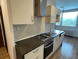 Pronájem bytu 2+1, Ústí nad Labem, Truhlářova, 66 m2
