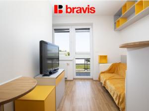 Pronájem bytu 1+kk, Brno, Říčanská, 35 m2