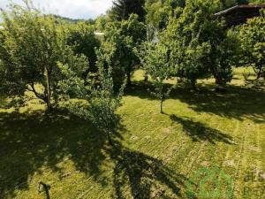 Prodej zahrady, Javorník, Míru, 1185 m2