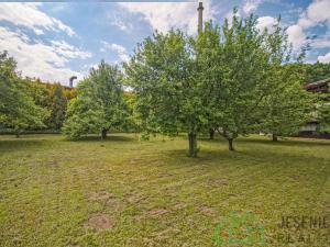 Prodej zahrady, Javorník, Míru, 1185 m2