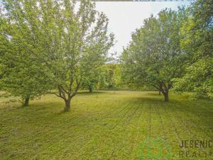 Prodej zahrady, Javorník, Míru, 1185 m2