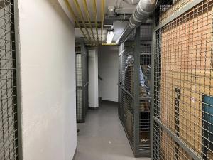 Dražba bytu 2+kk, Praha - Vinohrady, Ruská, 70 m2