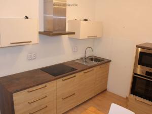 Pronájem bytu 2+kk, České Budějovice - České Budějovice 3, Jírovcova, 53 m2