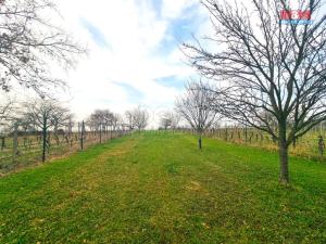 Prodej pole, Starý Poddvorov, 4096 m2