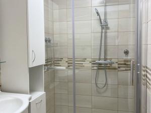 Pronájem bytu 1+1, Opava - Předměstí, Zámecký okruh, 40 m2