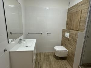 Pronájem bytu 1+1, Opava - Kateřinky, Ratibořská, 36 m2