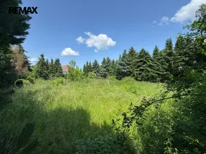 Prodej komerčního pozemku, Kunovice, Osvobození, 11035 m2