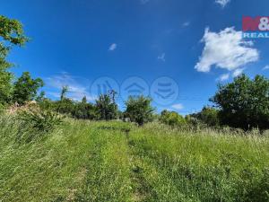 Prodej pozemku pro bydlení, Hrušovany, 30076 m2